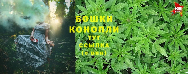 сатива Карпинск