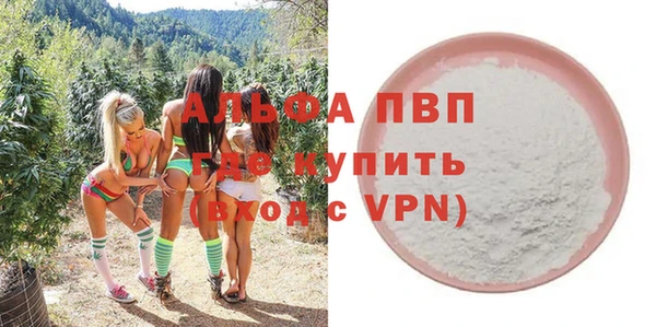сатива Карпинск