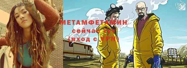 сатива Карпинск