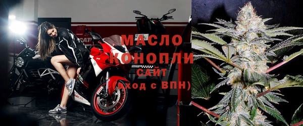сатива Карпинск