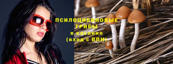 метадон Касимов