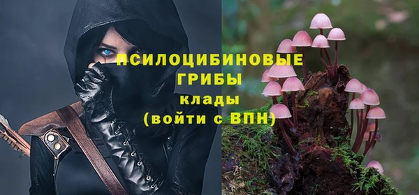 сатива Карпинск