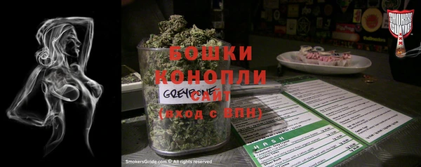 сатива Карпинск