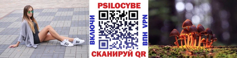 Купить где  Знаменск  Галлюциногенные грибы ЛСД 
